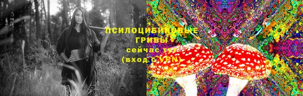 амфетамин Новозыбков